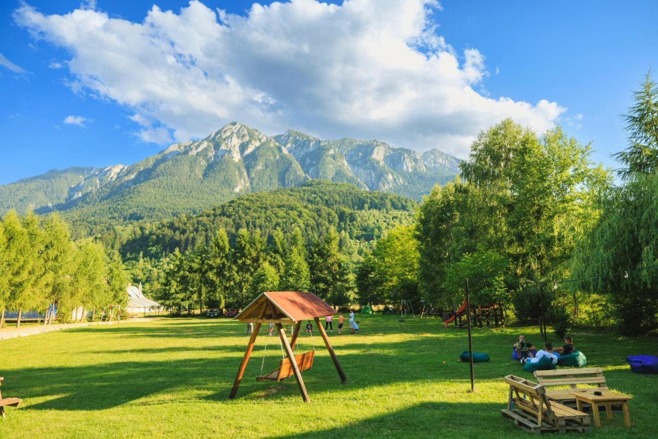 Pensiunea Piatra-Craiului Zărneşti Exterior foto