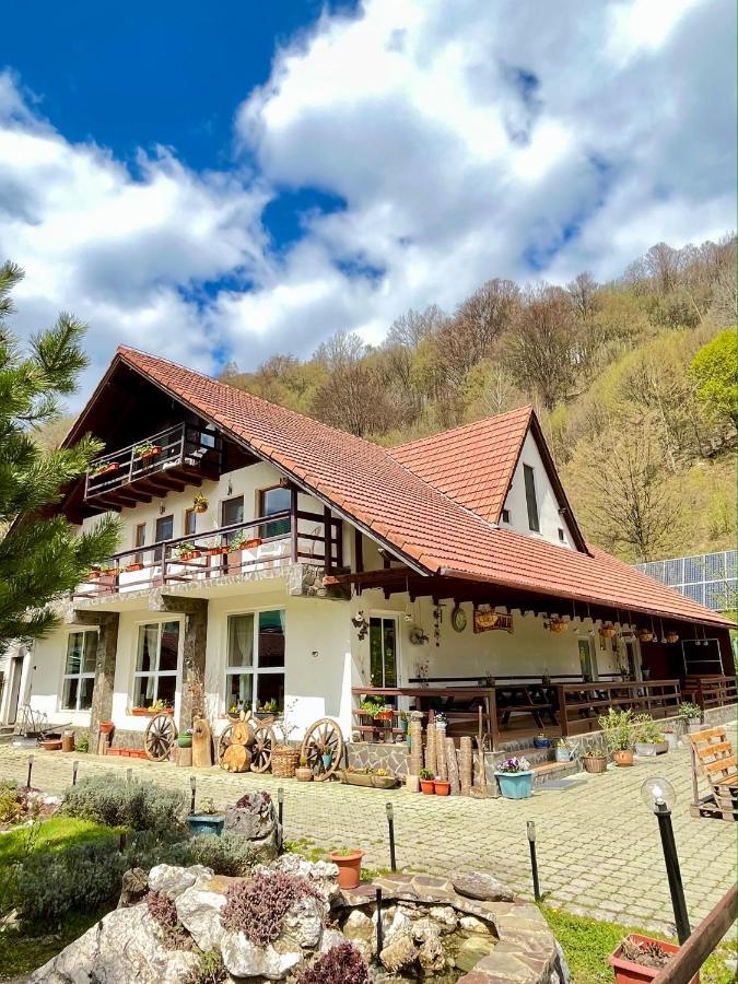 Pensiunea Piatra-Craiului Zărneşti Exterior foto